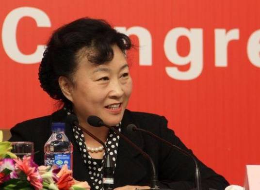 赵少华（原文化部党组副书记、副部长）