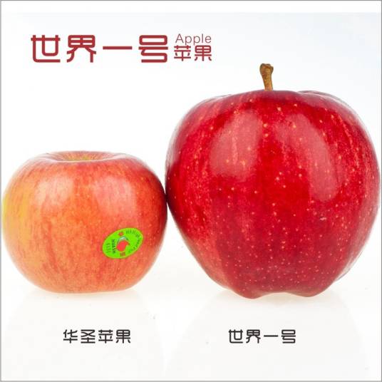 世界一号苹果