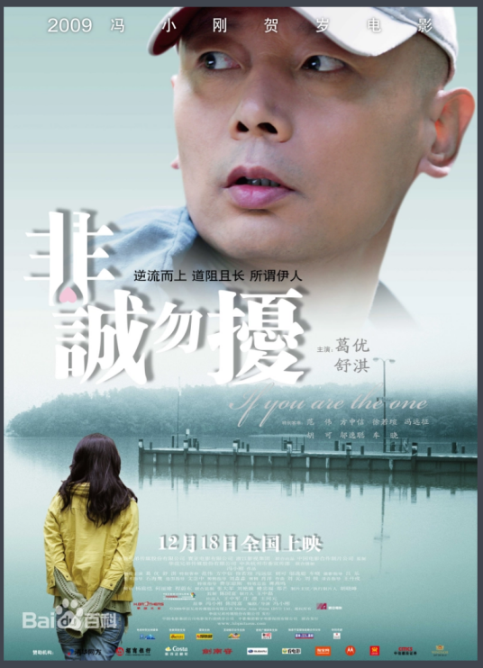 非诚勿扰（2008年冯小刚执导的爱情喜剧电影）