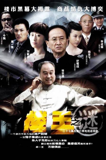 楼王之谜（2008年李云亮执导的剧情剧）