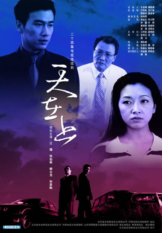 天在上（2003年傅东育执导的电视剧）