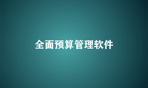 全面预算管理软件