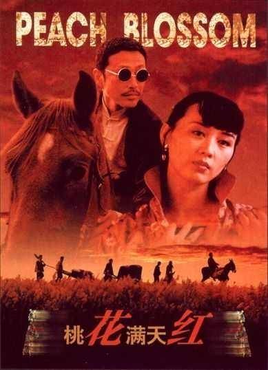 桃花满天红（1995年陈道明、李琳主演的电影）