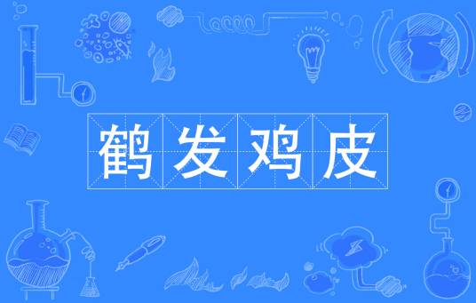 鹤发鸡皮