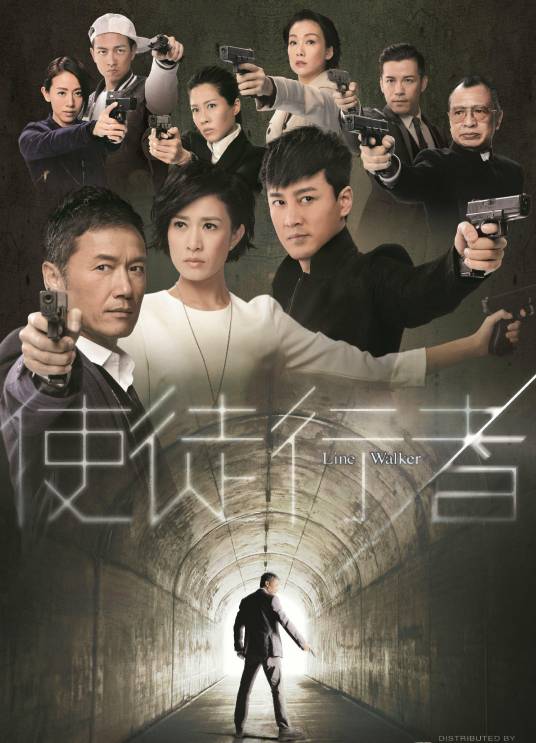 使徒行者（2014年文伟鸿执导的电视剧）
