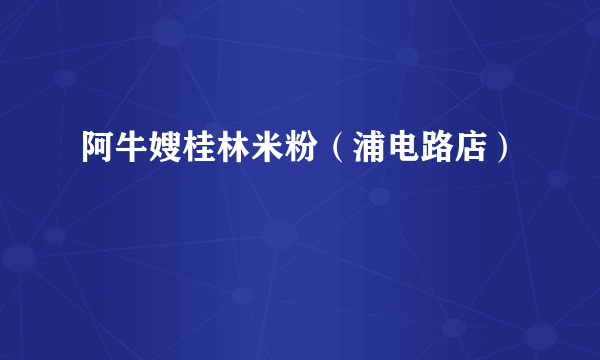 阿牛嫂桂林米粉（浦电路店）