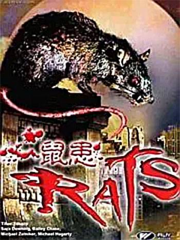 鼠灾