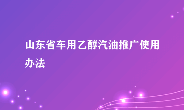 山东省车用乙醇汽油推广使用办法