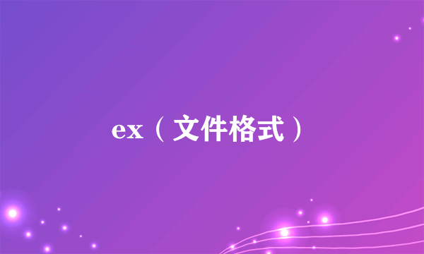 ex（文件格式）