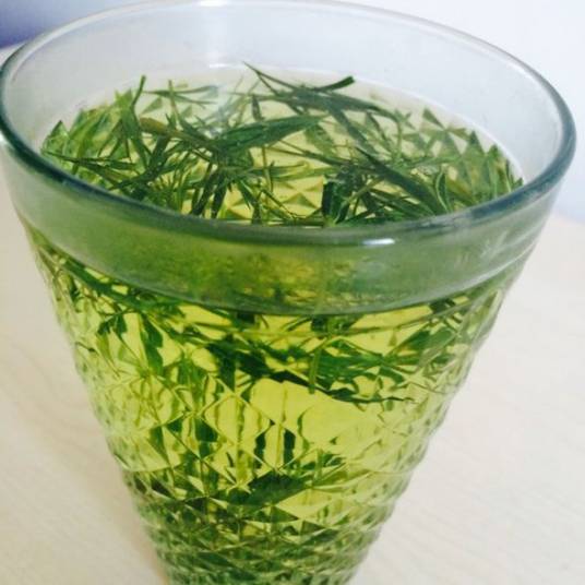 石竹茶