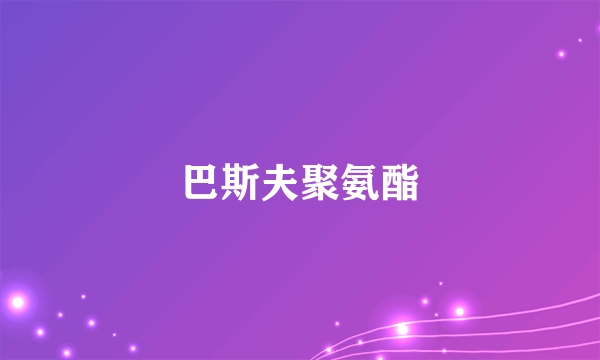 巴斯夫聚氨酯