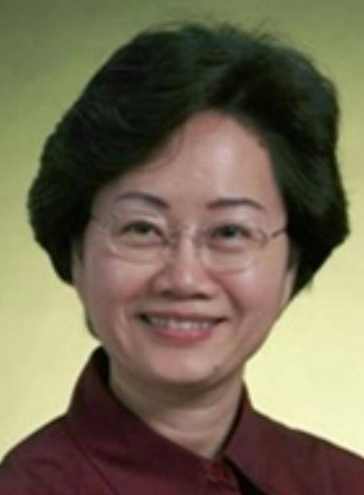杨晨光（中国国旅集团有限公司原董事、党委副书记）
