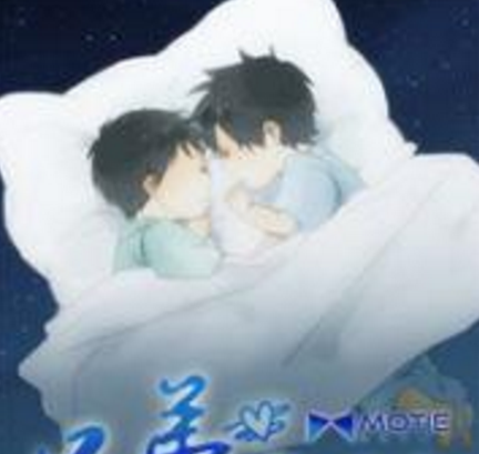 兄弟成双