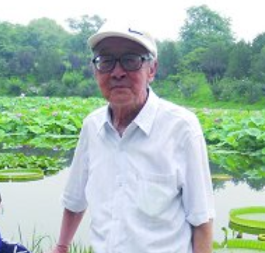 张梦实