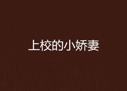 上校的小娇妻