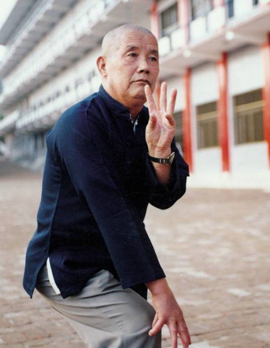 刘宝山（中国武术九段、河南省武术协会副主席、少林寺塔沟武校的创办人）