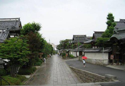 农村城市化（农村社区变为城市社区的多方面的综合的社会经济运动过程）
