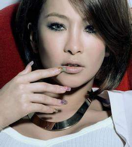傻瓜（2007年温岚演唱的歌曲）