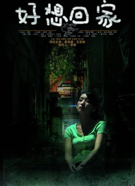 好想回家（2007年陶玲玲执导电视剧）