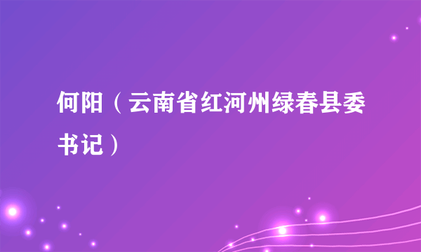 何阳（云南省红河州绿春县委书记）