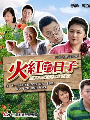 火红的日子（2012年付百良执导的电视剧）