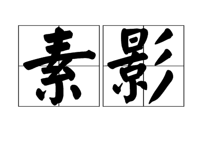 素影（汉语词语）