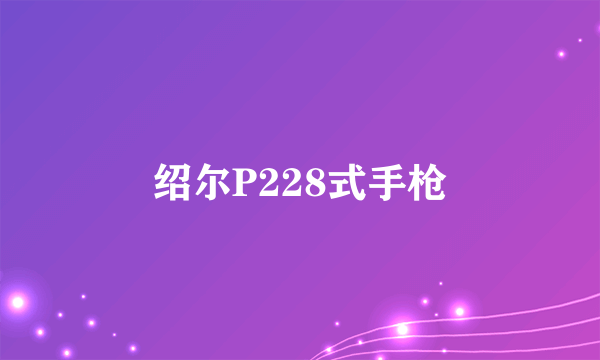 绍尔P228式手枪