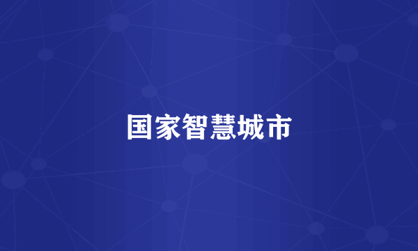 国家智慧城市