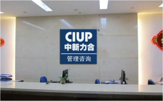 中新力合股份有限公司