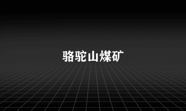 骆驼山煤矿