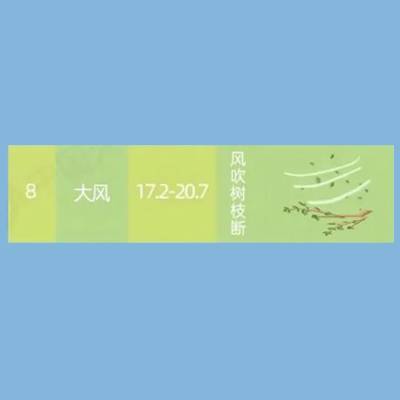 8级风