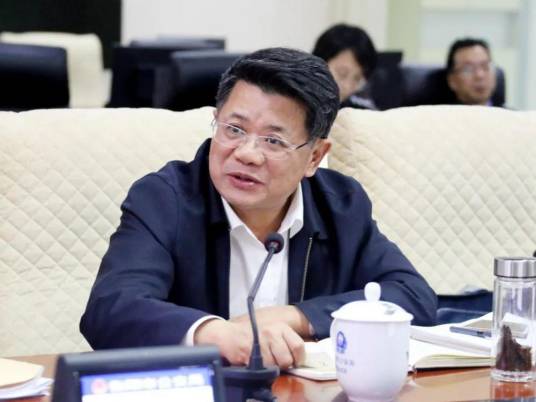 肖国安（湖南第十届省纪委委员）