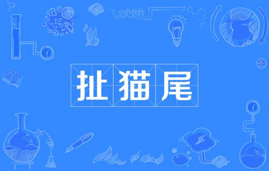 扯猫尾