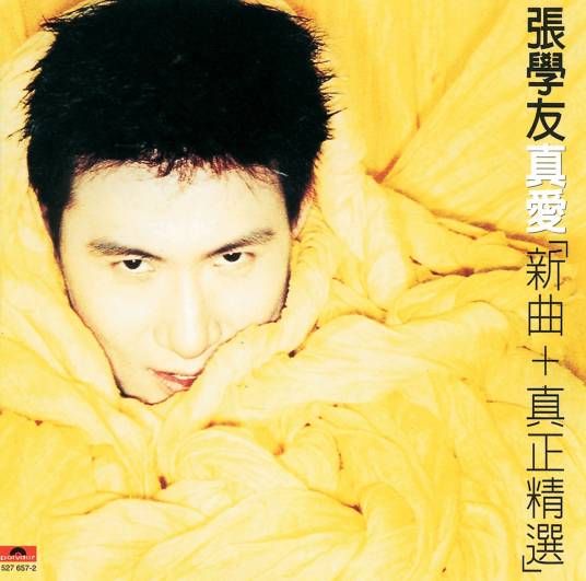 我等到花儿也谢了（张学友演唱歌曲）