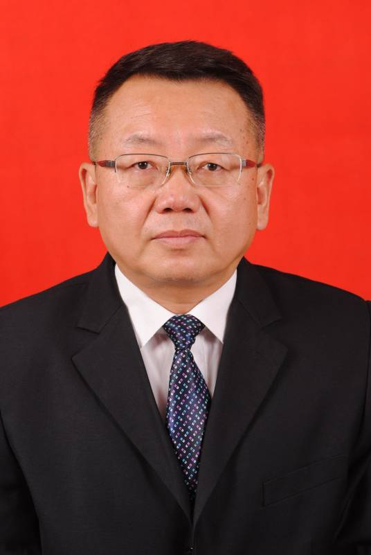 何炜（宁夏电力投资集团公司党委委员、副总经理）