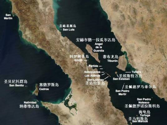 加利福尼亚湾