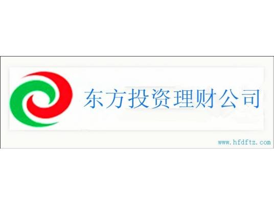 东方投资理财公司