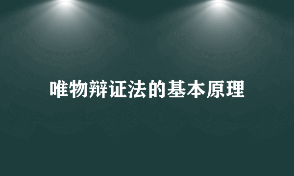 唯物辩证法的基本原理