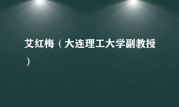 艾红梅（大连理工大学副教授）