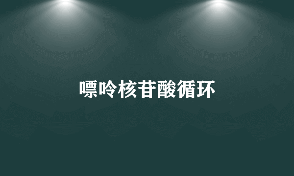 嘌呤核苷酸循环