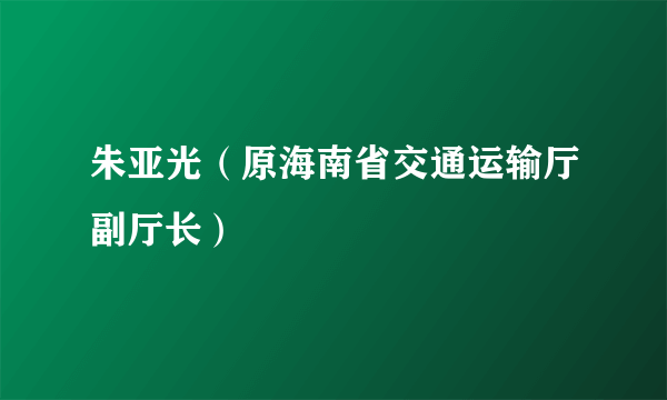 朱亚光（原海南省交通运输厅副厅长）
