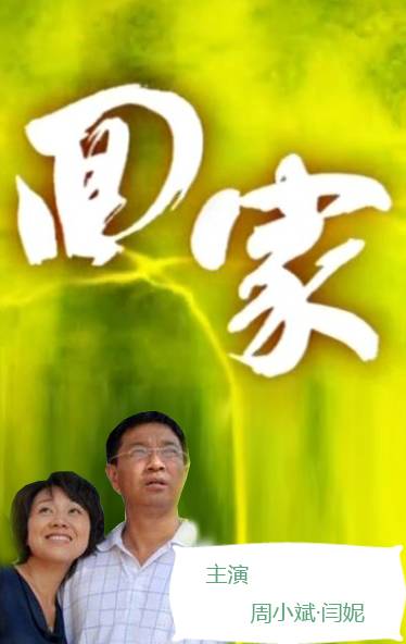 回家（张敬雯导演电视剧）