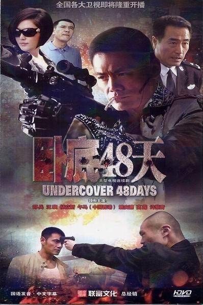 卧底48天（2013年邵兵汪裴主演电视剧）