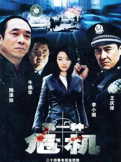 第一种危机（2004年王永执导的电视剧）