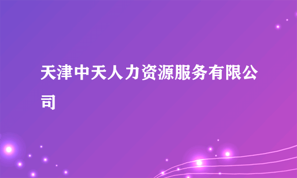 天津中天人力资源服务有限公司