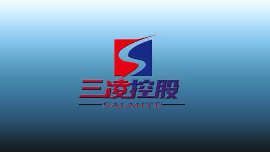 三凌控股有限公司