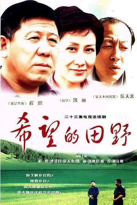 希望的田野（2003年孙沙执导的电视剧）