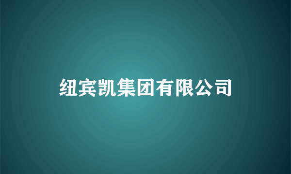 纽宾凯集团有限公司