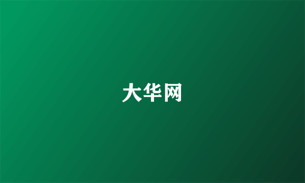 大华网