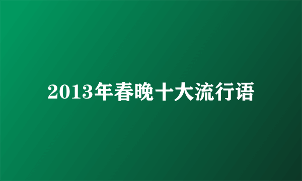 2013年春晚十大流行语